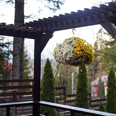 Apartament Impala Sinaia - Kudu Zewnętrze zdjęcie